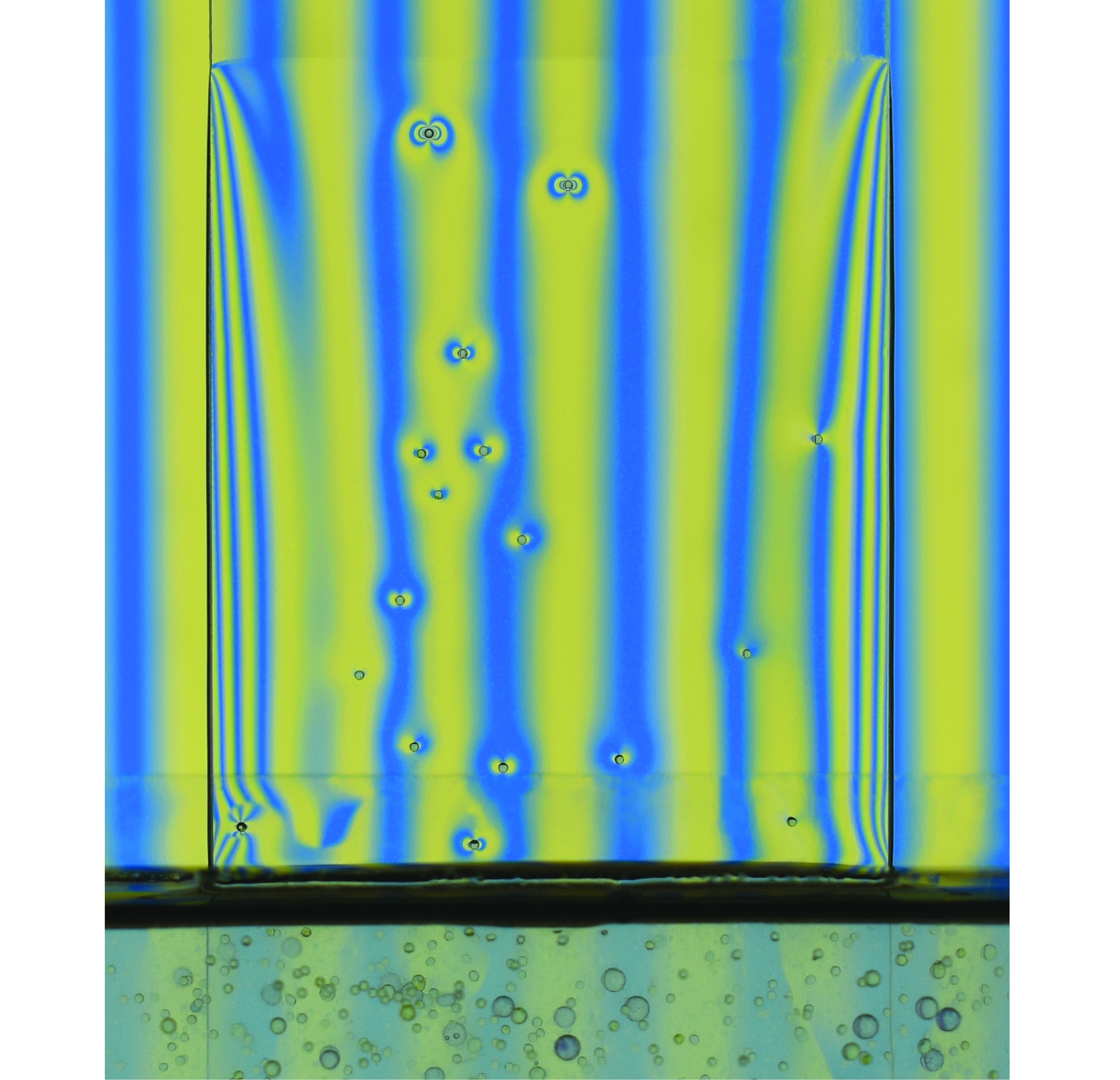 Drop Coating Newt Graphical Abstract
